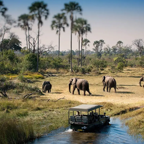 A safari vehicle cruises along a river while elephants graze on the grassy riverbank, surrounded by palm trees and African bushland.