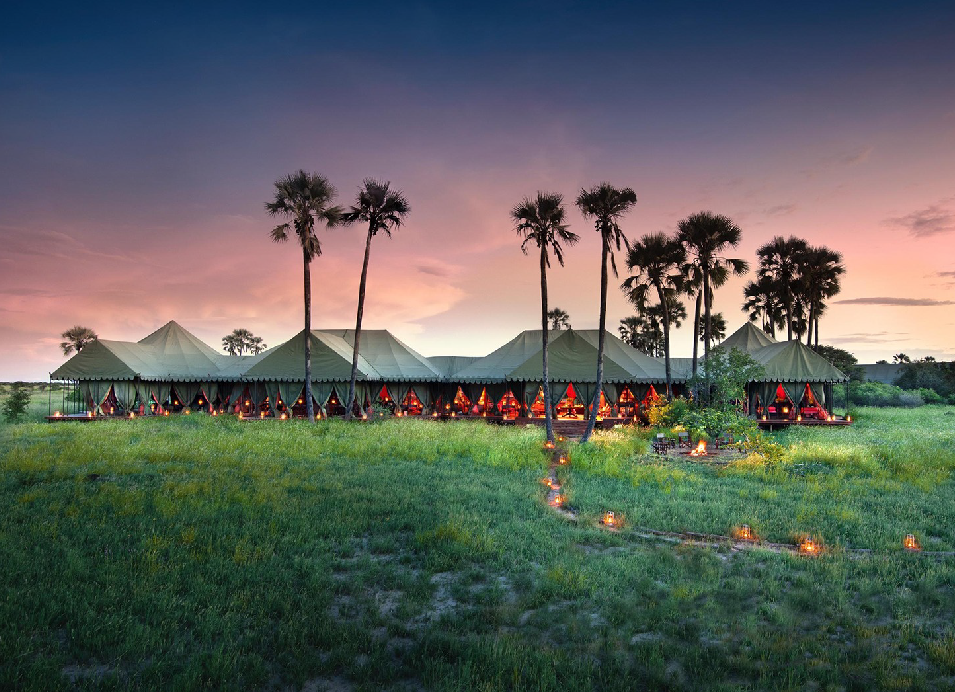 Botswana safari camp at sunset with luxury tents, palm trees, and lanterns glowing across the grassland.
