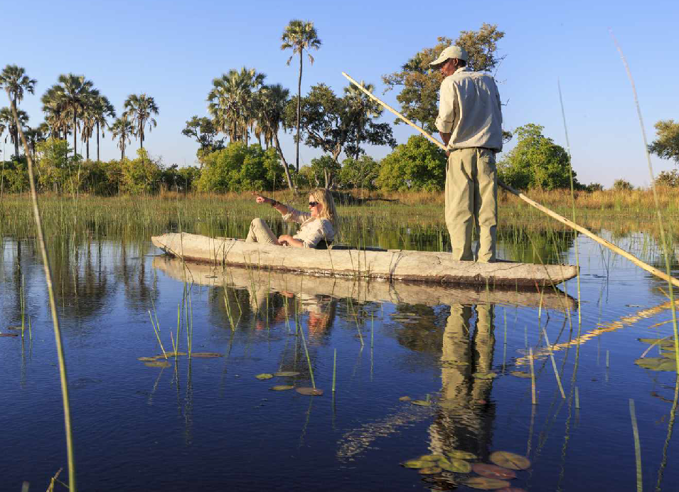 Traveling by mokoro through a tranquil wetland in Botswana, surrounded by palm trees and lush vegetation.