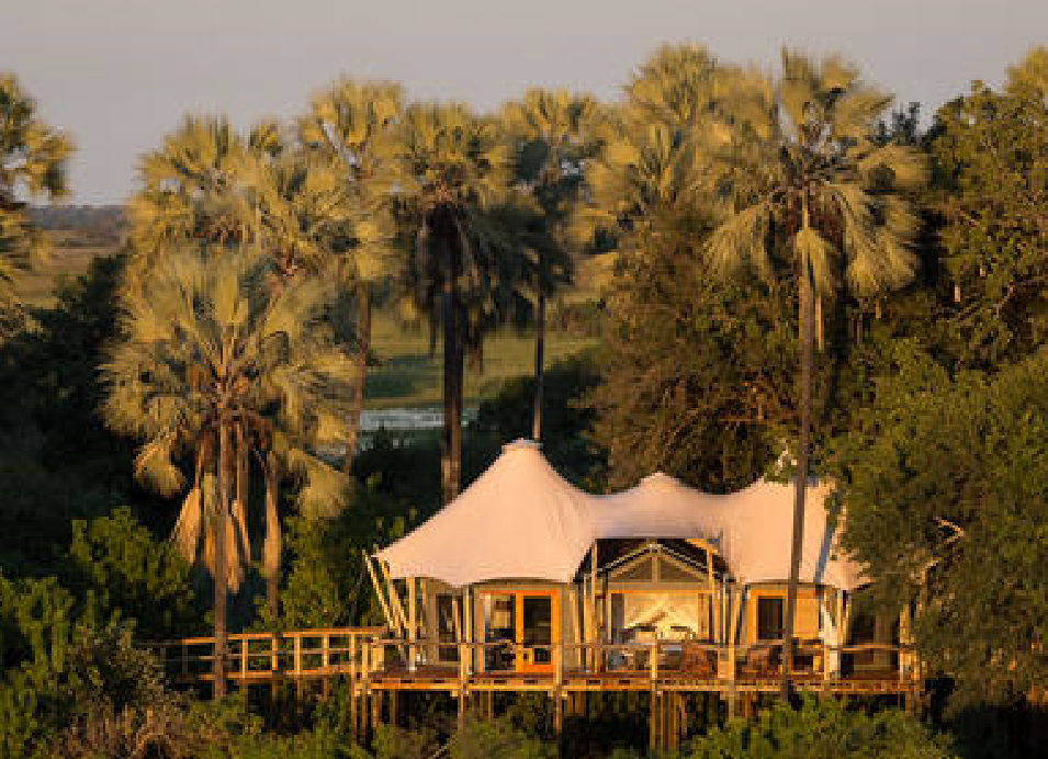Luxury safari lodge with a canvas roof surrounded by palm trees and lush vegetation in Botswana.
