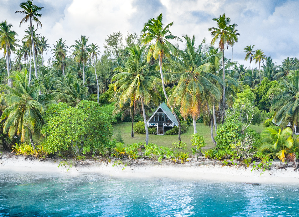 Tropical island beach with turquoise water, white sand, palm trees, and a small thatched roof hut.