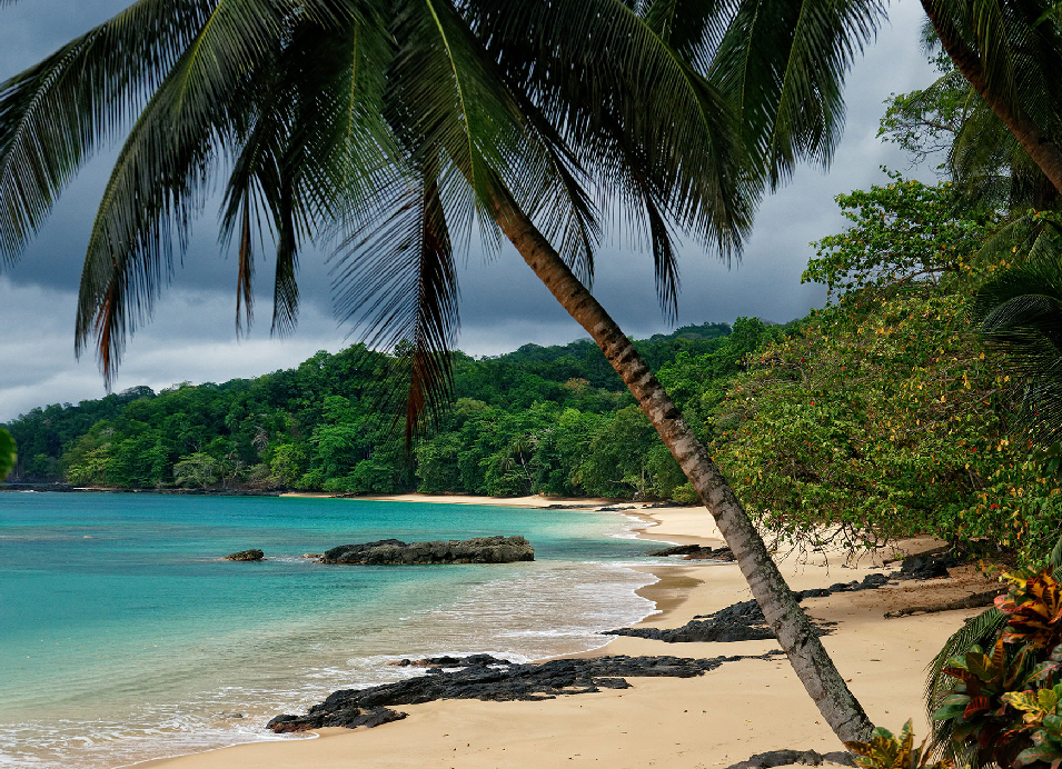 Tropical beach with turquoise water, white sand, palm trees, and lush green forest on an island in the Indian Ocean.