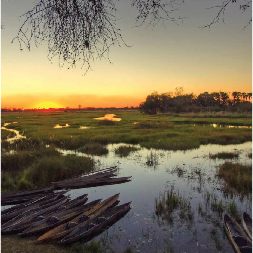 Sunset over the Botswana Delta during the Meerkat, Flamingo & Delta Expedition