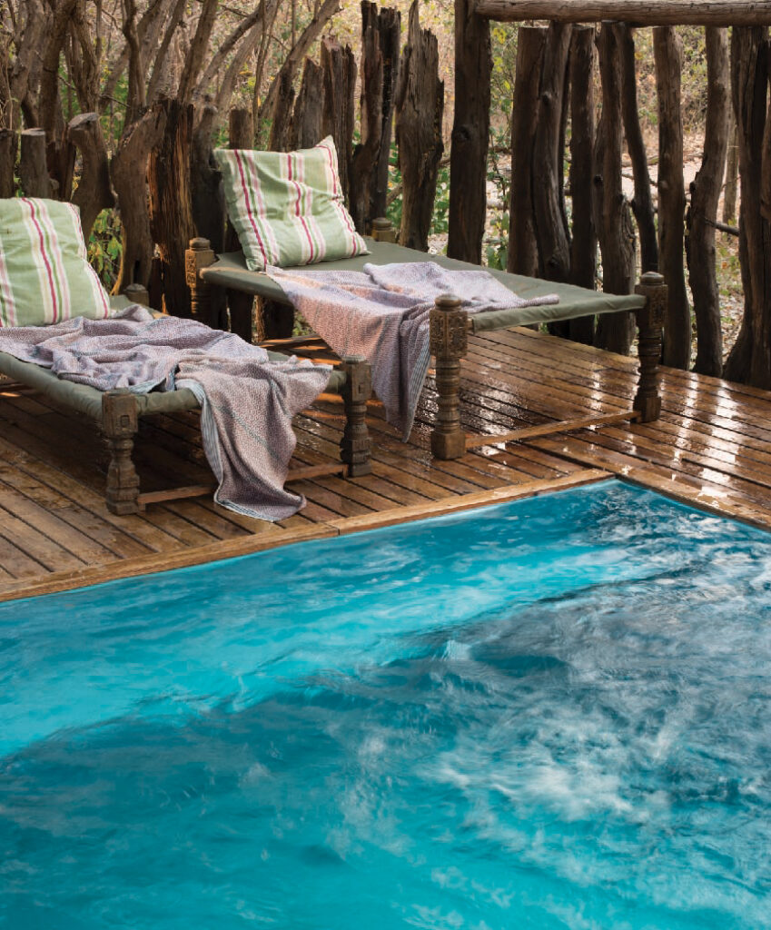 Outdoor pool at Mana Pools Elephant Expedition with wooden deck, lounge chairs, and striped cushions surrounded by woodland.