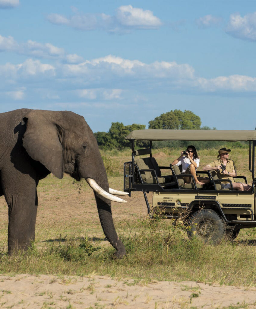 African elephant walking beside a safari vehicle with two people during a Zimbabwe safari.