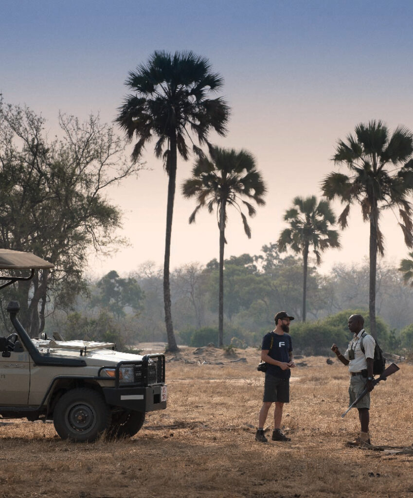 Guests on a game drive beside a safari vehicle in Mana Pools, surrounded by tall palm trees and dry woodland at sunset.