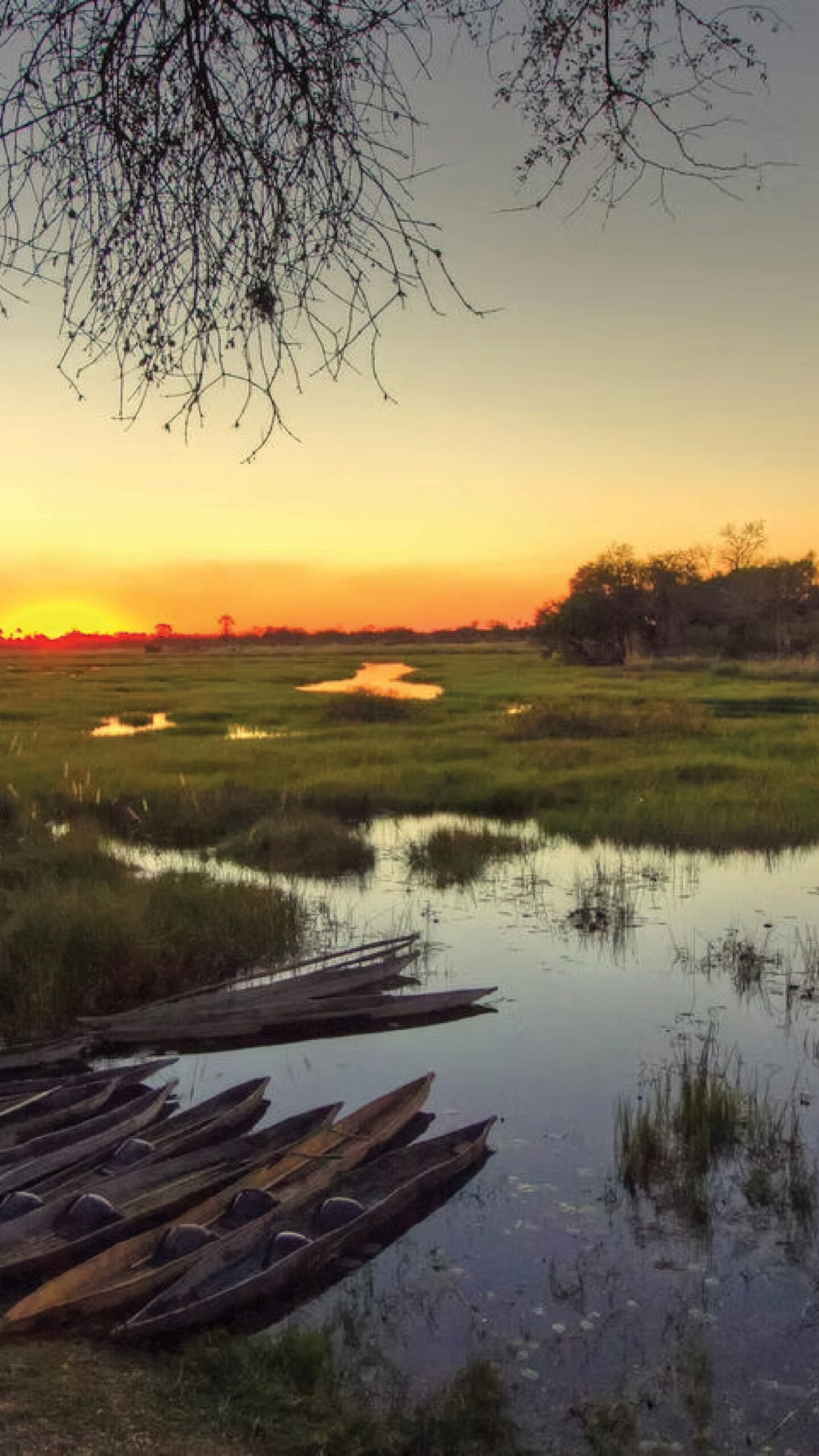 Sunset over the Botswana Delta during the Meerkat, Flamingo & Delta Expedition