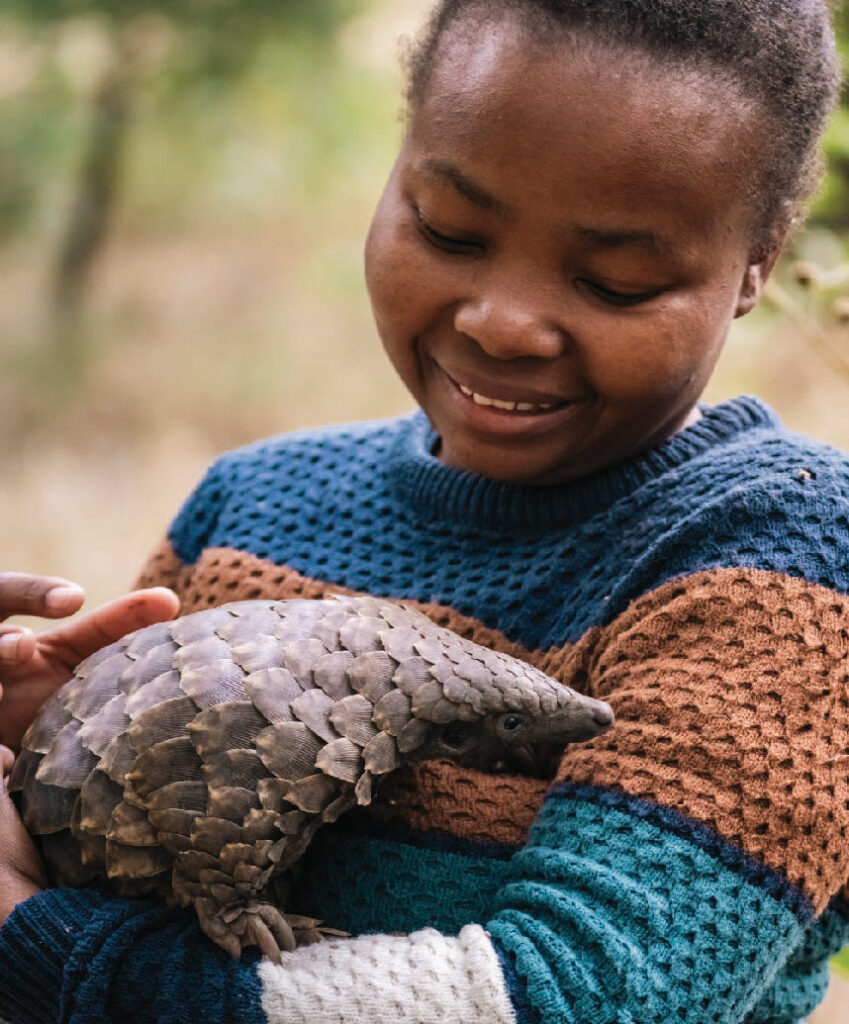 A smiling child gently holding a pangolin during a conservation safari in Mozambique