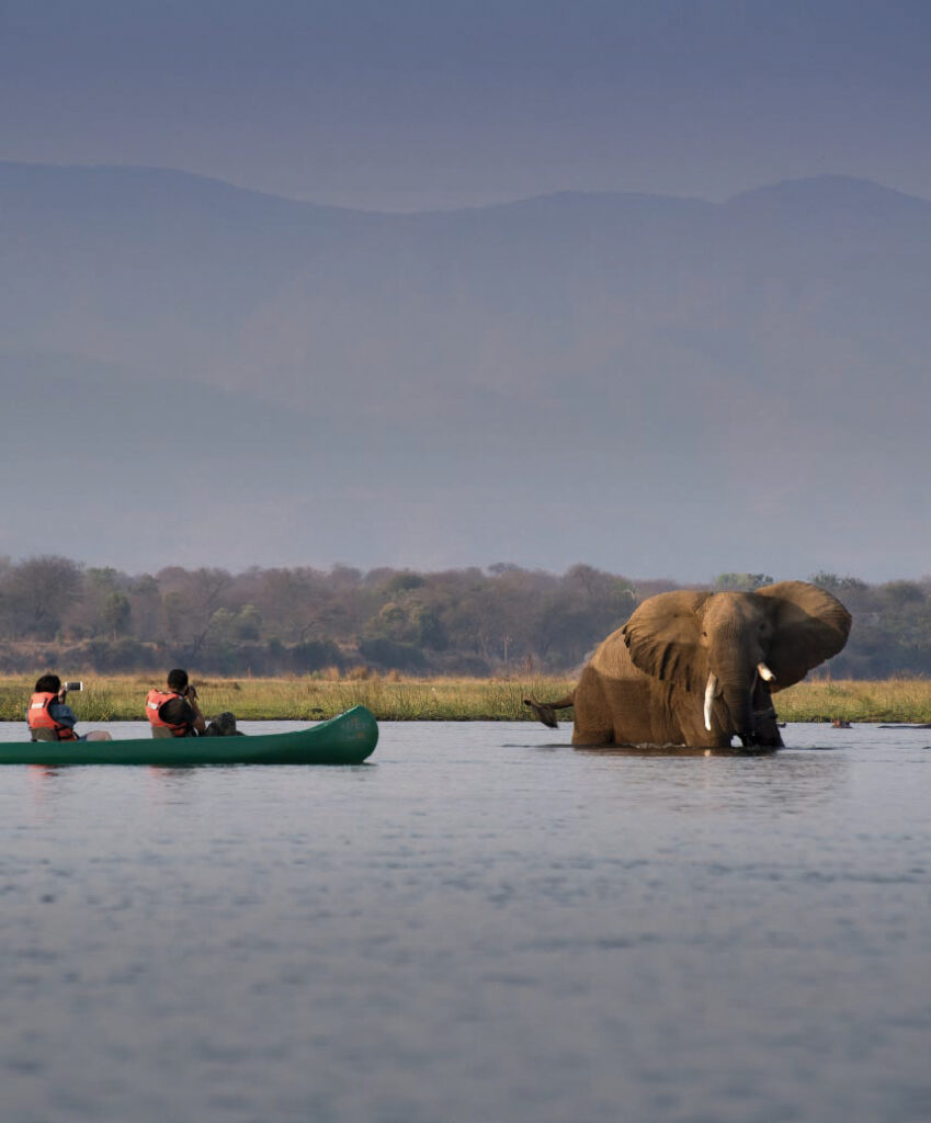 Two people in a canoe approach an elephant standing in the water of a river in Zimbabwe, with mountains in the background.