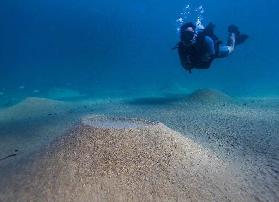 Scuba diver exploring a sandy underwater landscape in clear blue water
