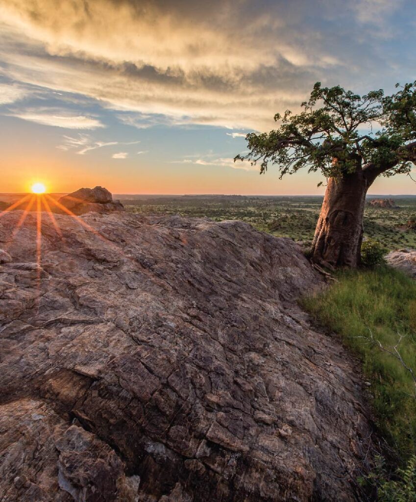 Sunset over the Mashatu Game Reserve in Botswana, with a baobab tree overlooking rocky terrain and the African landscape.