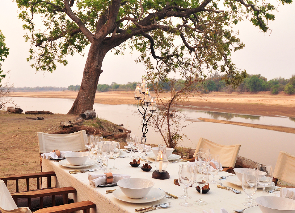 Outdoor safari dining table set beside a river, with a large tree providing shade and a scenic African landscape in the background.