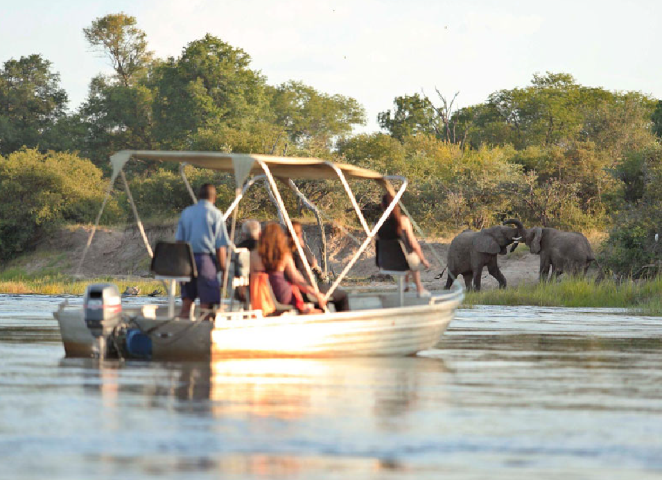 Boat with passengers observing elephants along the riverbank in Zambia.