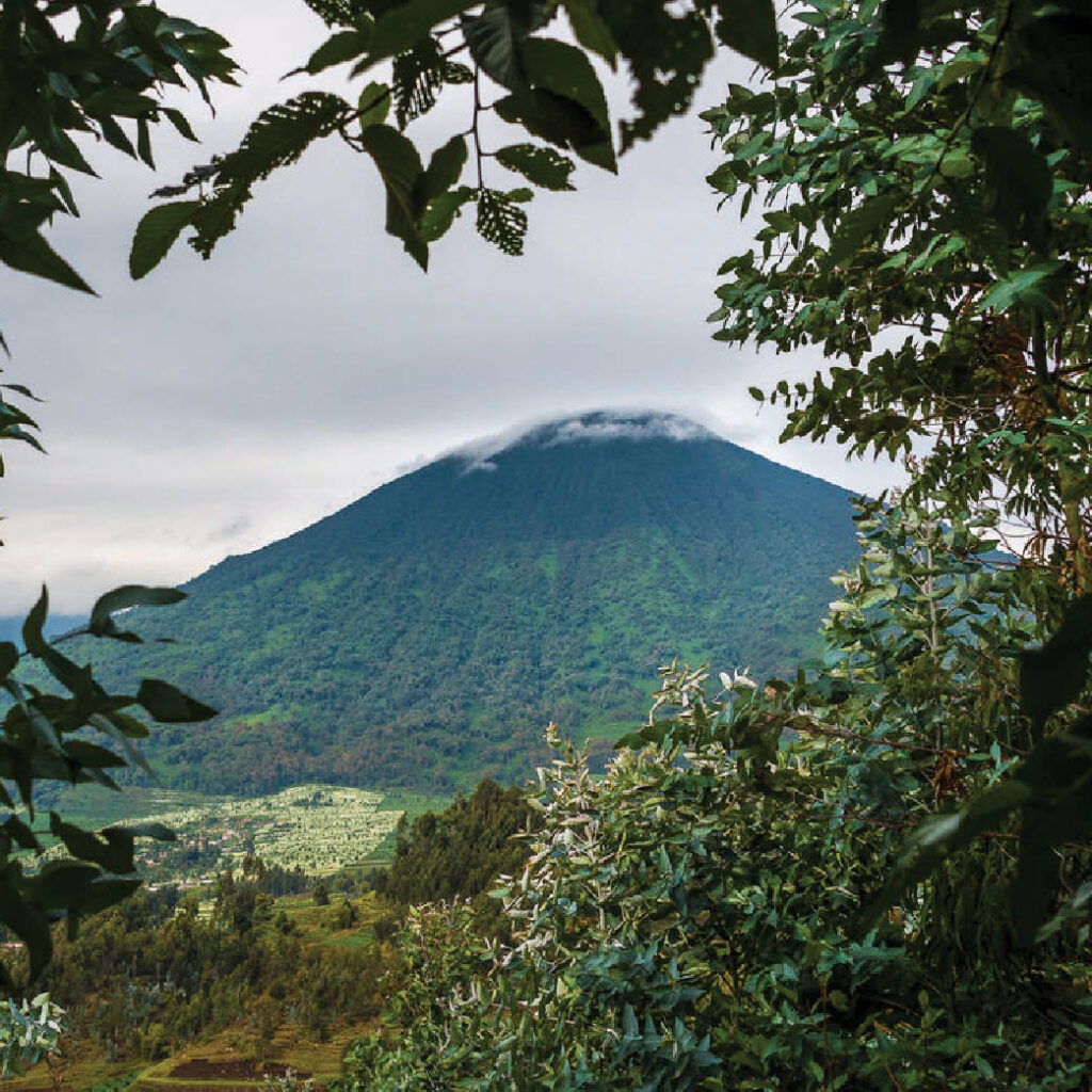 Mountain landscape in Rwanda with a lush green volcanic mountain rising above the surrounding countryside, framed by tropical foliage.