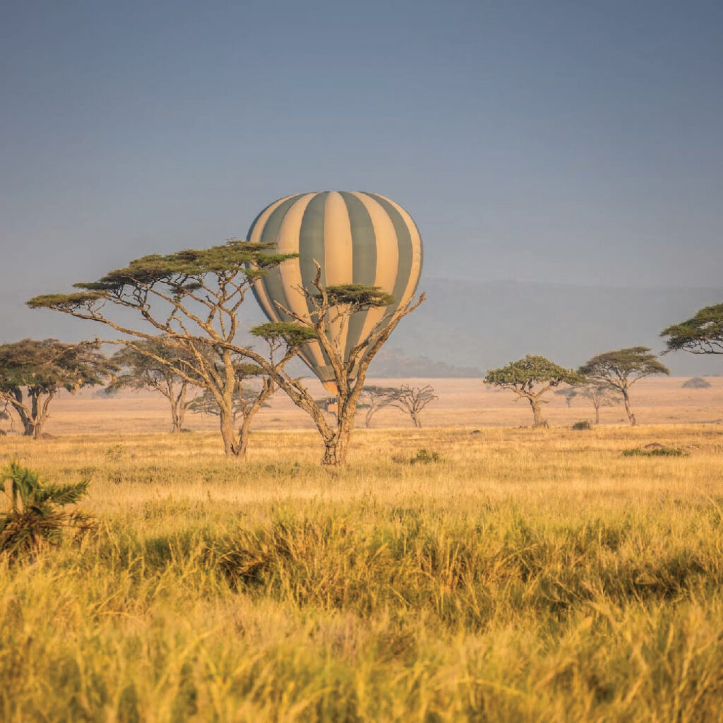Hot air balloon floating above the golden grasslands of Tanzania, surrounded by acacia trees under a clear sky.