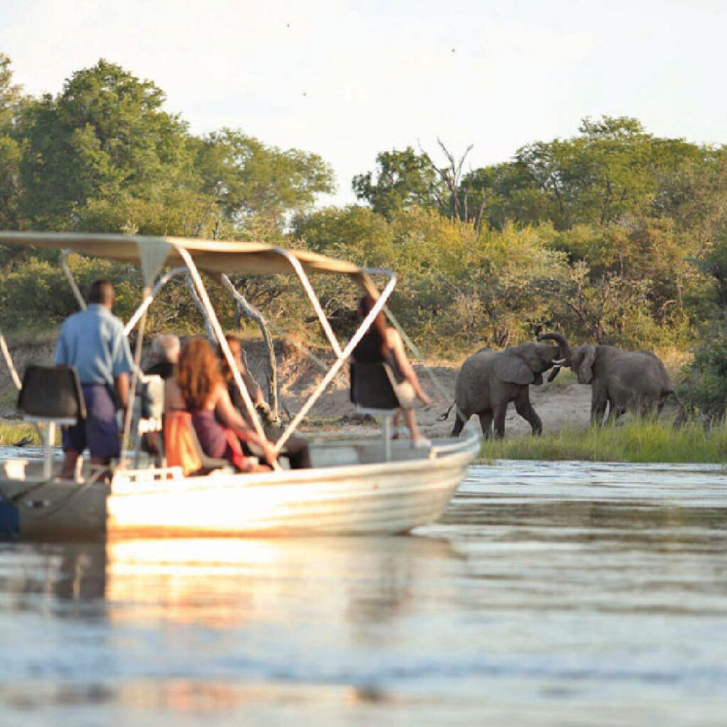 Boat with passengers observing elephants along the riverbank in Zambia.